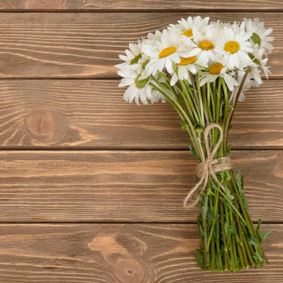 Ramo de margaridas brancas amarrado sobre madeira clara