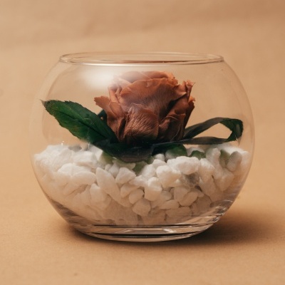 Arranjo&#x20;de&#x20;Rosa&#x20;Preservada&#x20;num&#x20;Aqu&#x00E1;rio&#x20;de&#x20;Vidro