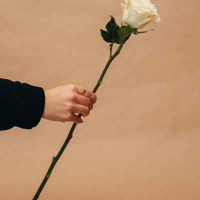 Rosas&#x20;&#x00E0;&#x20;la&#x20;carte