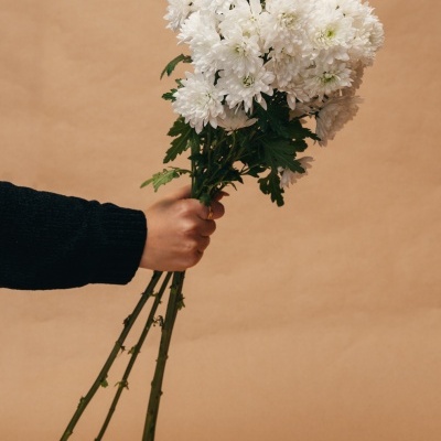 Atado&#x20;de&#x20;Margaridas