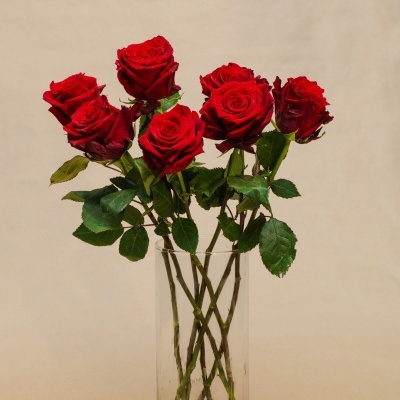 Rosas&#x20;&#x00E0;&#x20;la&#x20;carte