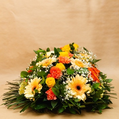 Palma&#x20;F&#x00FA;nebre