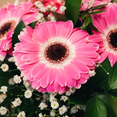 Arranjo&#x20;de&#x20;Gerberas