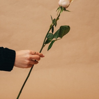 Rosas&#x20;&#x00E0;&#x20;la&#x20;carte