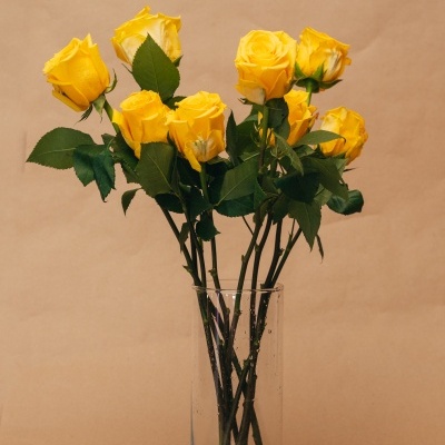 Rosas&#x20;&#x00E0;&#x20;la&#x20;carte