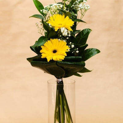 Arranjo&#x20;de&#x20;Gerberas