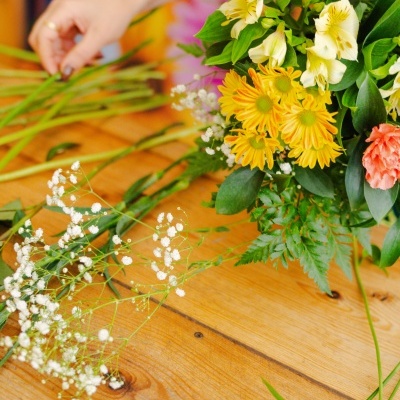 Escolha&#x20;da&#x20;Florista