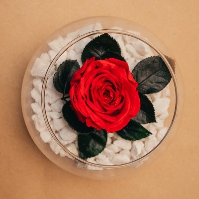 Rosa vermelha artificial em vidro redondo com pedras brancas