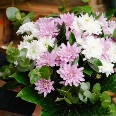 Bouquet&#x20;de&#x20;Margaridas