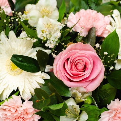 Coroa&#x20;F&#x00FA;nebre