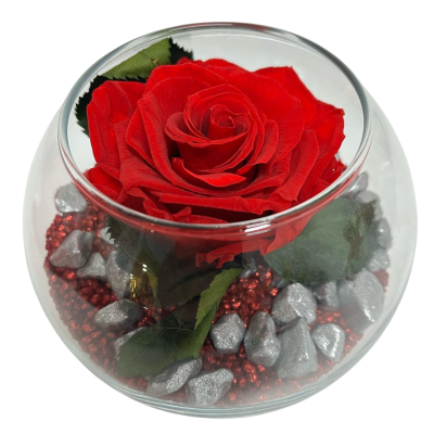 Arranjo&#x20;de&#x20;Rosa&#x20;Preservada&#x20;num&#x20;Aqu&#x00E1;rio&#x20;de&#x20;Vidro