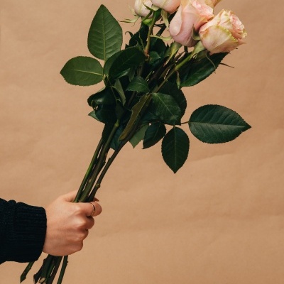 Rosas&#x20;&#x00E0;&#x20;la&#x20;carte