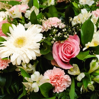 Coroa&#x20;F&#x00FA;nebre