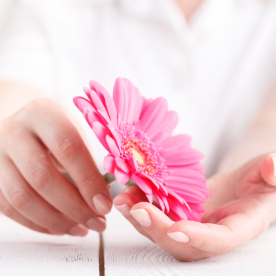 Flor rosa com pétalas e centro amarelo segurada por mãos sobre mesa branca