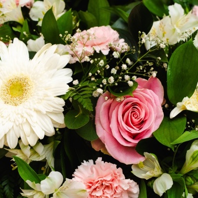 Coroa&#x20;F&#x00FA;nebre