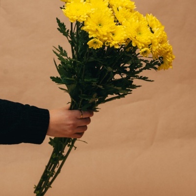 Ramo de flores amarelas segurado por uma mão com suéter preto, fundo bege.