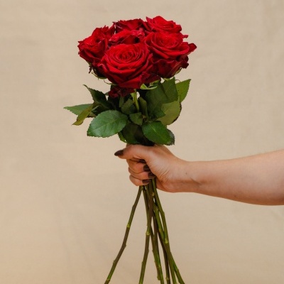 Rosas&#x20;&#x00E0;&#x20;la&#x20;carte