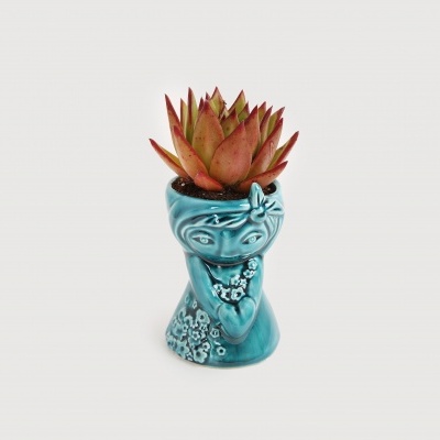 Vaso azul em forma de rosto com suculenta