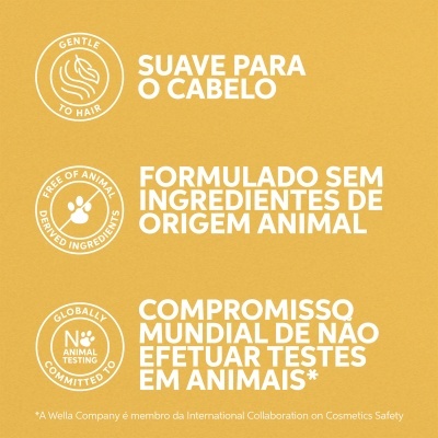 Texto em fundo amarelo com ícones relativos a características de produto de cabelo