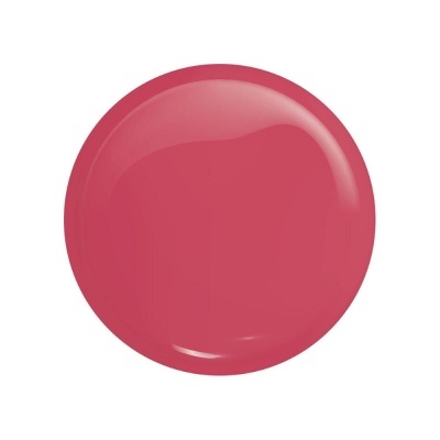 Círculo vermelho-rosado brilhante sobre fundo branco