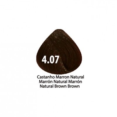 Amostra de cor de cabelo castanho natural 4.07 com texto descritivo