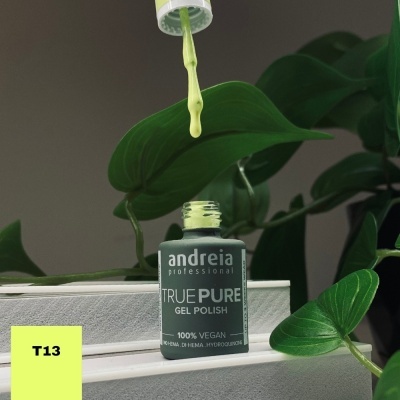 Frasco de verniz gel Andreia TRUE PURE cor clara com aplicador e código T13