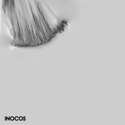 Pincel de maquilhagem com cerdas pretas em fundo cinzento com logo INOCOS