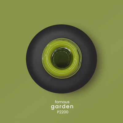 Prato preto com tigela verde ao centro sobre fundo verde claro com texto