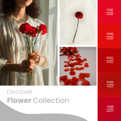 Mulher a segurar flores vermelhas e amostras de flor e pétalas em fundo branco