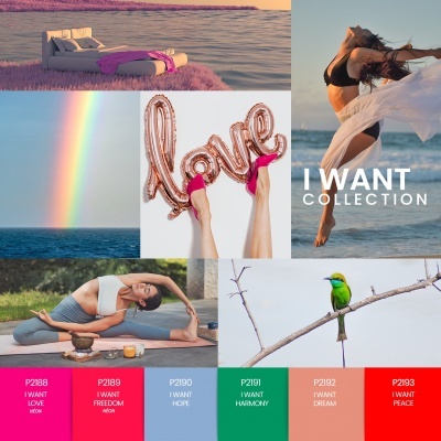Colagem de imagens e paleta de cores com tema 'I WANT COLLECTION'