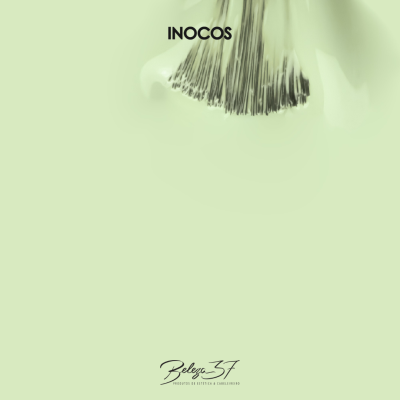 Pincéis de maquilhagem com cerdas pretas e texto INOCOS