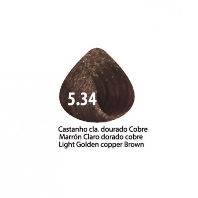 Mostruário de cor de cabelo castanho dourado cobre 5.34