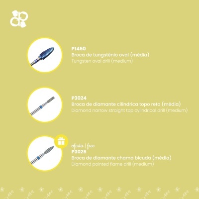 Ilustrações de três brocas em fundo amarelo com texto descritivo em português e inglês