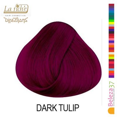 Amostra de cor de cabelo vinho escuro 'DARK TULIP' da La riche Directions