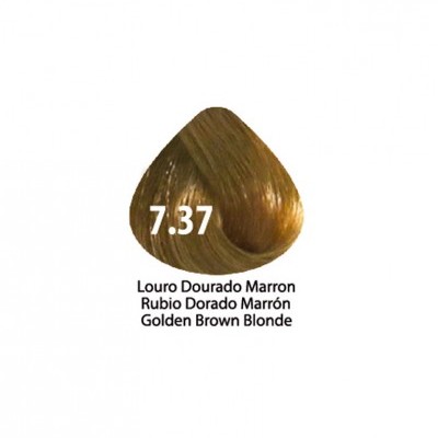 Mostruário de cor de cabelo castanho dourado loiro 7.37