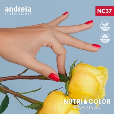 Mão com unhas vermelhas segurando rosa amarela com texto promocional de esmalte