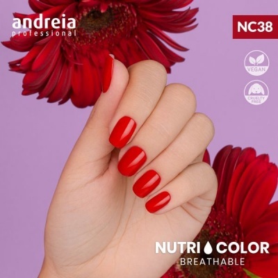 Mão com unhas vermelhas e flores vermelhas ao fundo, texto de verniz Andreia Professional NC38