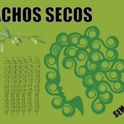 Fundo verde com texto 'CACHOS SECOS' e silhueta feminina com cabelo cacheado