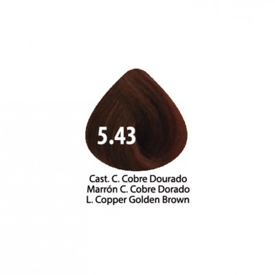 Amostra de cor de cabelo castanho cobre dourado código 5.43