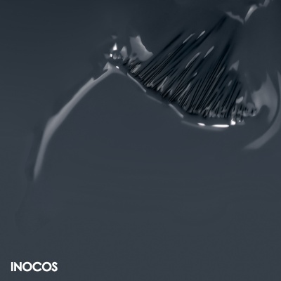 Pincel de esmalte preto e embalagem com texto INOCOS