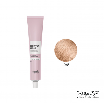Tubo de tinta de cabelo permanente Andreia cor 10.03 com amostra de cor castanho claro dourado