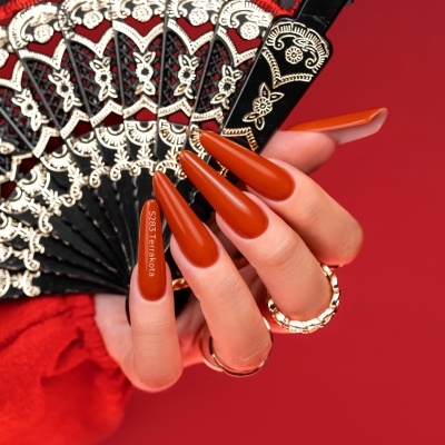 Mão com unhas terracota segurando leque decorativo preto e dourado