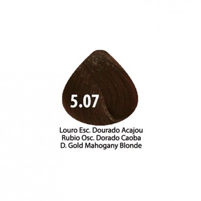 Amostra de cor de cabelo castanho dourado acaju 5.07 com texto em várias línguas