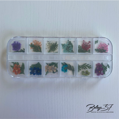 Caixa transparente com flores secas coloridas em compartimentos quadrados.