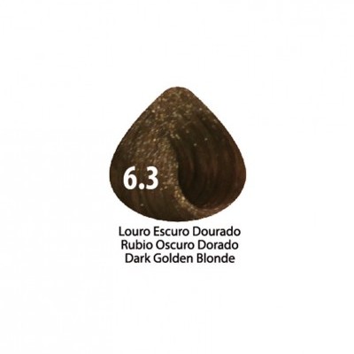 amostra de cor de cabelo castanho dourado escuro 6.3