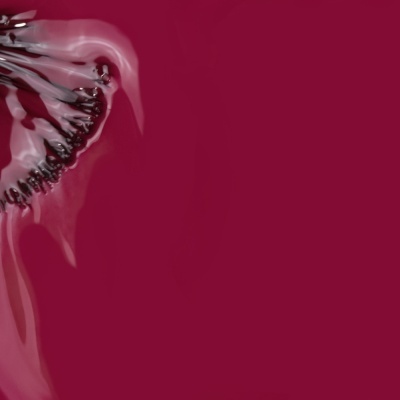 Fatias de fruta vermelha com sementes pretas e fundo vinho