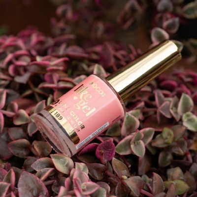 Verniz de unhas rosa com tampa dourada entre folhas de planta roxas e verdes