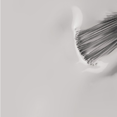 Pincel com cerdas pretas em superfície branca