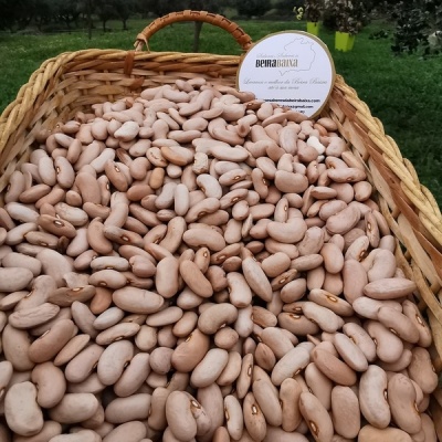 Cesto de vime com feijões secos bege em campo verde e etiqueta BEIRABAIXA
