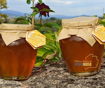 Dois frascos de vidro com tampa coberta por papel pardo e etiquetas, contendo mel âmbar, sobre pedra com vegetação ao fundo